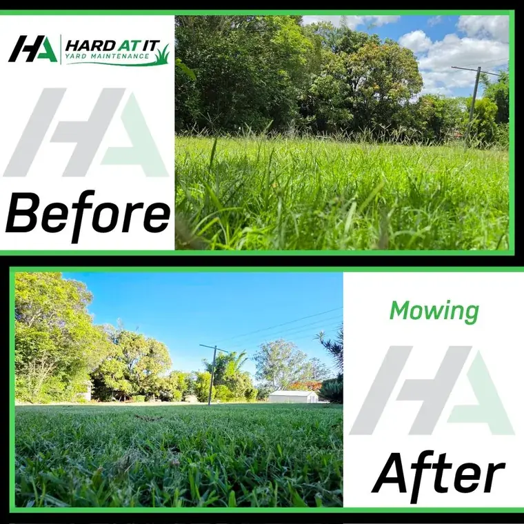 Lawn Mowing &mdash; before and after