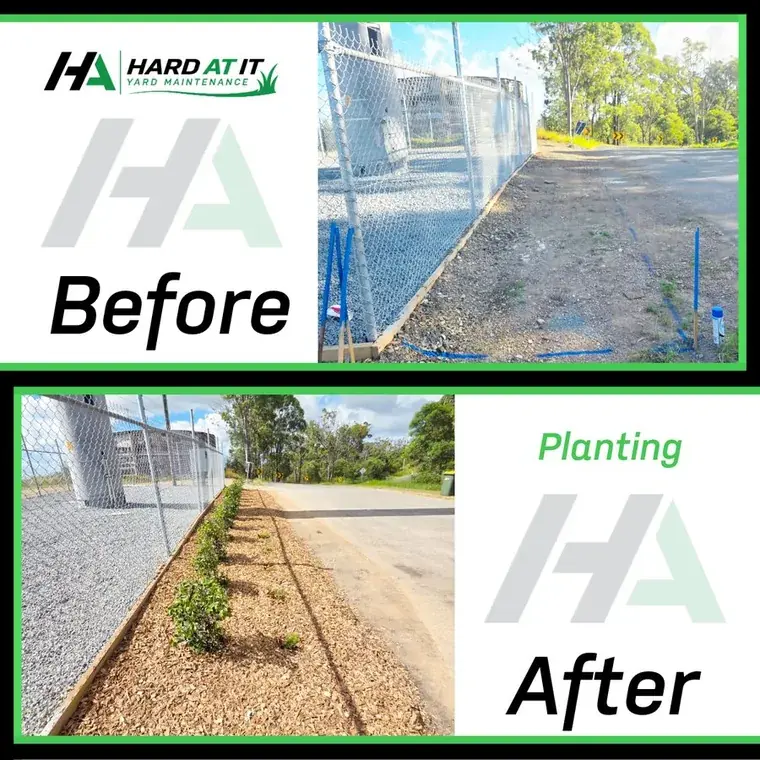 Planting — before and after