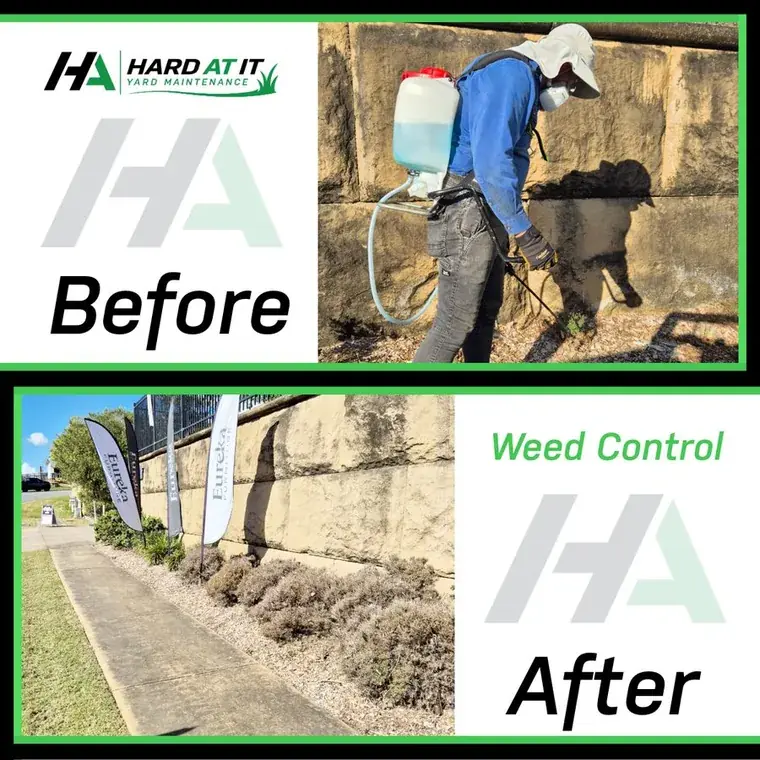 Weed Control Gympie &mdash; before and after
